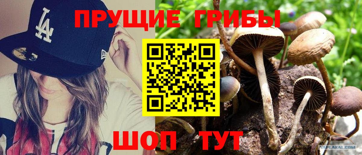 Ачхой-Мартан  Галлюциногенные грибы GOLDEN TEACHER  Вход с VPN  Галлюциногенные грибы мухоморы 