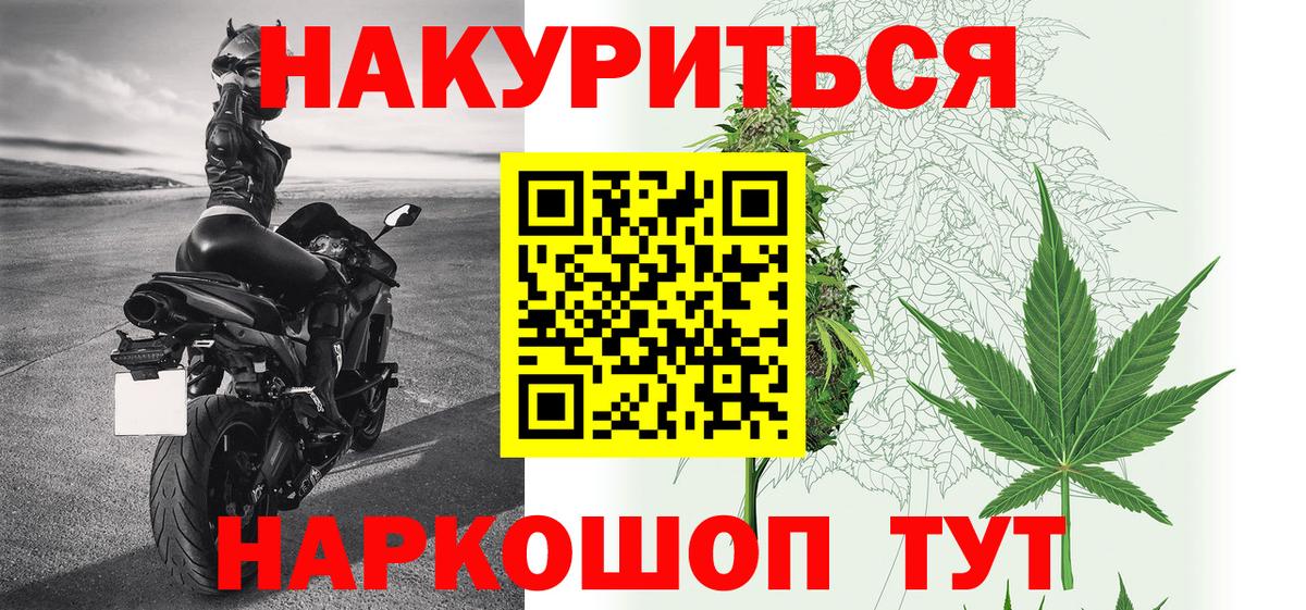 Каннабис Ganja Ачхой-Мартан